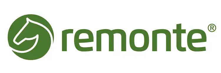 Schuhe in Übergrößen von Remonte: Pumps, Halbschuhe, Balerinas, Stiefel