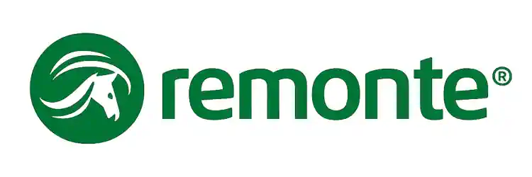 Schuhe in Übergrößen von Remonte: Pumps, Halbschuhe, Balerinas, Stiefel