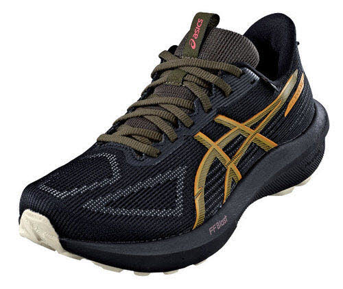 asics Sportschuhe - Laufsport schwarz