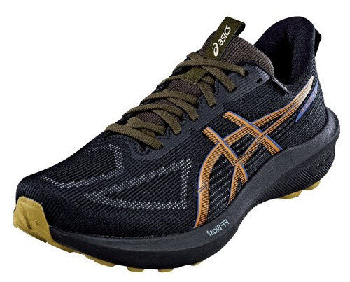 asics Sportschuhe - Laufsport schwarz